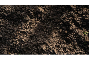 top soil lying on the ground with the sun casting over it