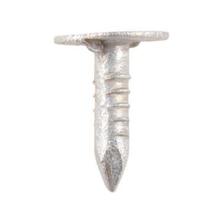 Clout Nail ELH - Galvanised  20 x 3.00 2.5kg Tub GEC20T