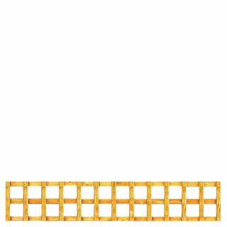 6 X 1 Trellis