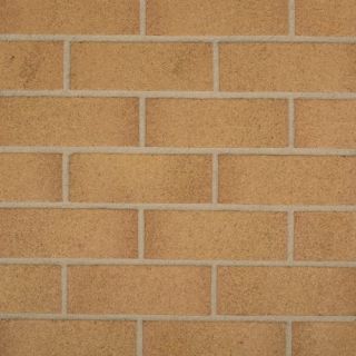 73mm Wienerberger Swarland Golden Thatch Best Facing Bricks 