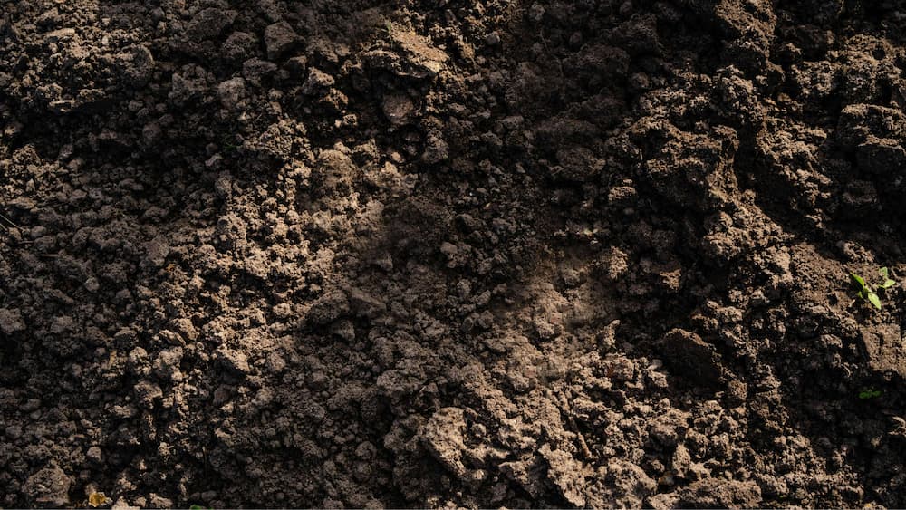 top soil lying on the ground with the sun casting over it